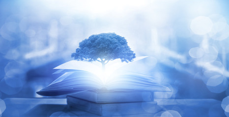 清明节过路费免费吗2024(清明节过路费免费吗2025)