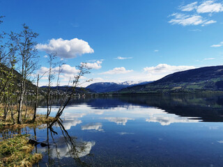 16天确诊484例疫情源头在哪[本轮疫情源头确定]