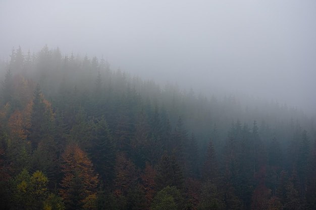 清明节过路费免费吗2024（清明节过路费免费吗2025）