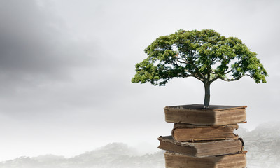 额济纳旗增13例本土[额济纳旗新增6例确诊 累计31例]